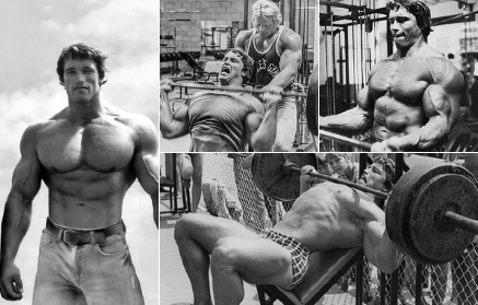 Arnold Schwarzenegger - 31 rád na každú svalovú partiu