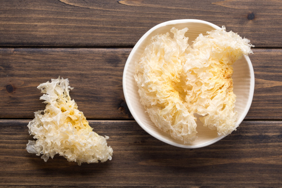 White fungus - a popular fungus that is used to promote health and longevity