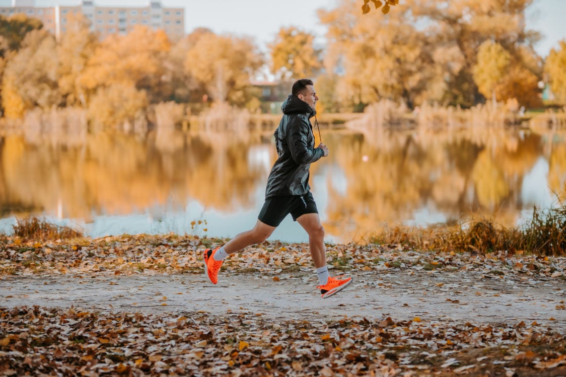 How does collagen work on the joints?