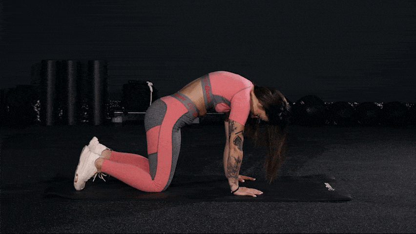 How to Perform Cat Cow Pose to Relieve Back Pain?