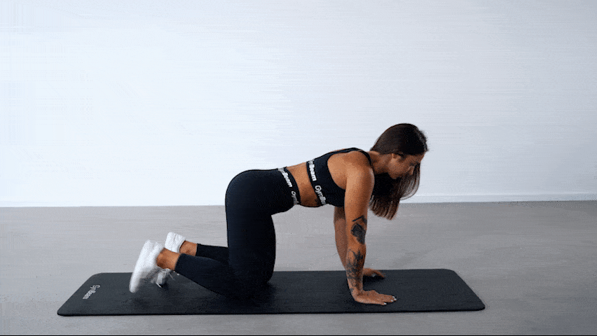 How to perform bird dog?