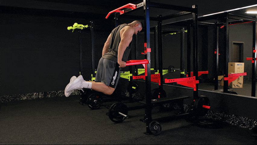 How to Perform Parallel Bar Triceps Dips?
