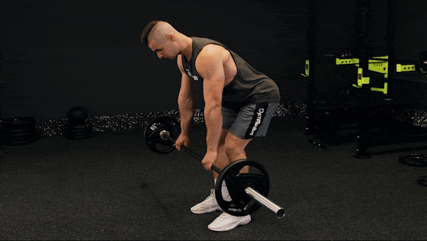 Kako pravilno izvesti veslanje u pretklonu sa šipkom?