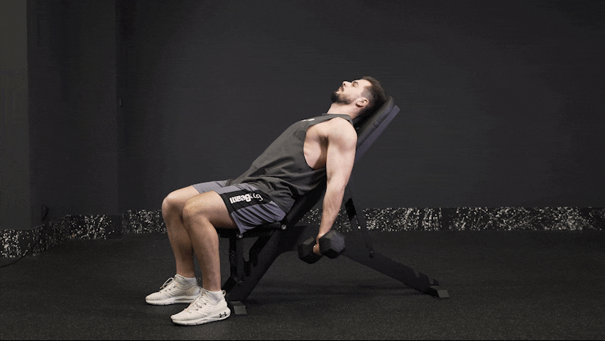 How to properly perform Dumbbell Incline Bench Biceps Curl