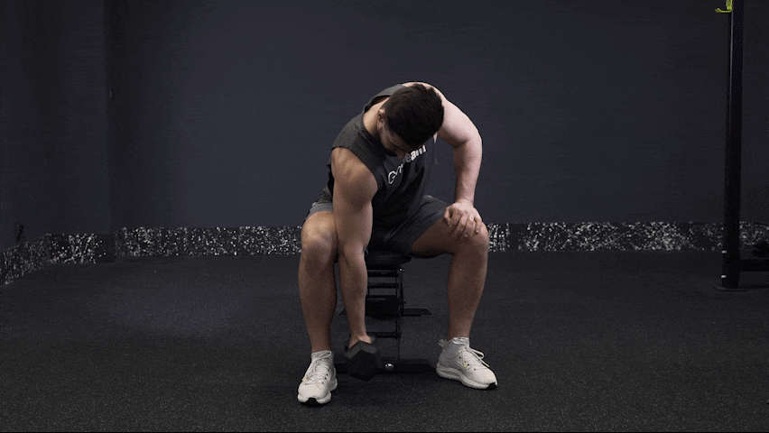 How to properly perform One Arm Concentration Curl