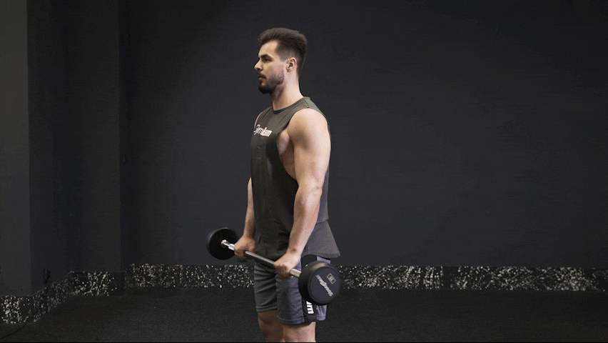 How to properly perform Reverse Grip Barbell Biceps Curl?