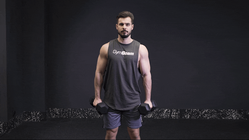 How to properly perform Alternating Dumbbell Hammer Biceps Curl