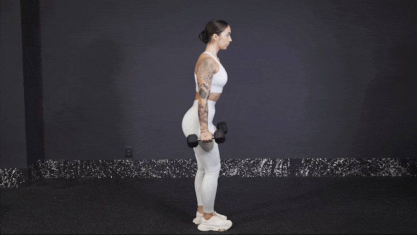 How to properly perform Dumbbell Reverse Lunge