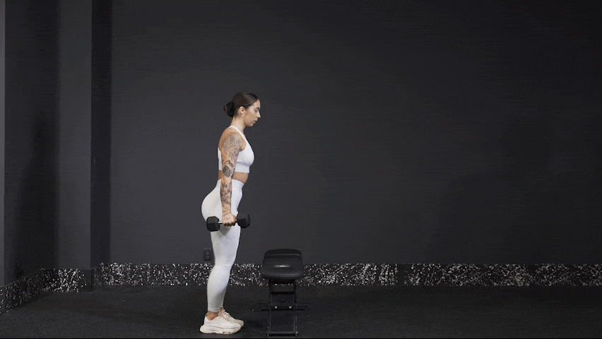 How to properly perform Dumbbell Step Ups