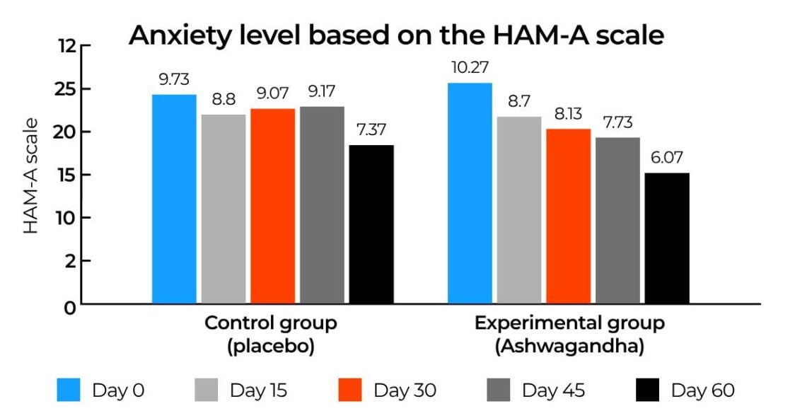 Anxiety level based on the HAM-A scale