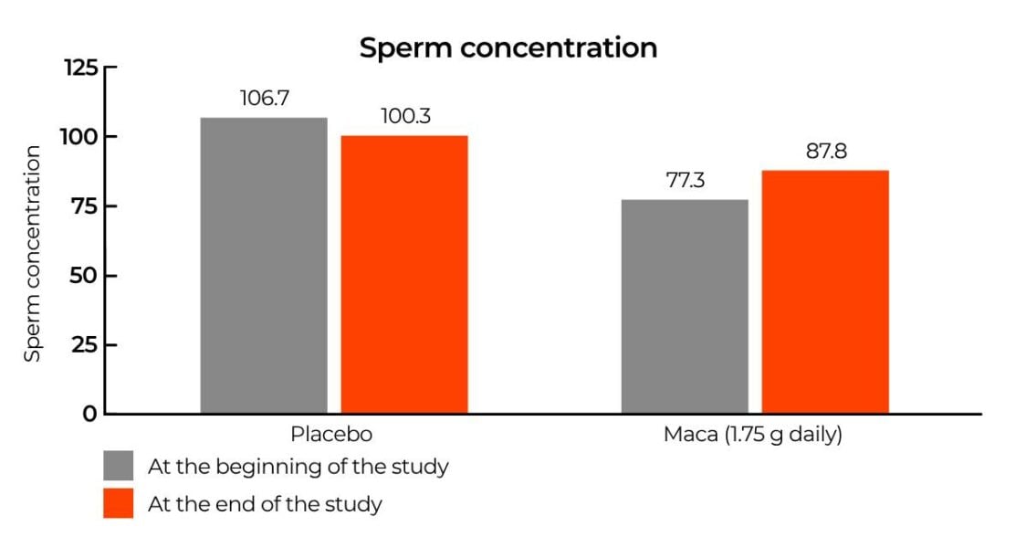 EN Maca Sperm concentration