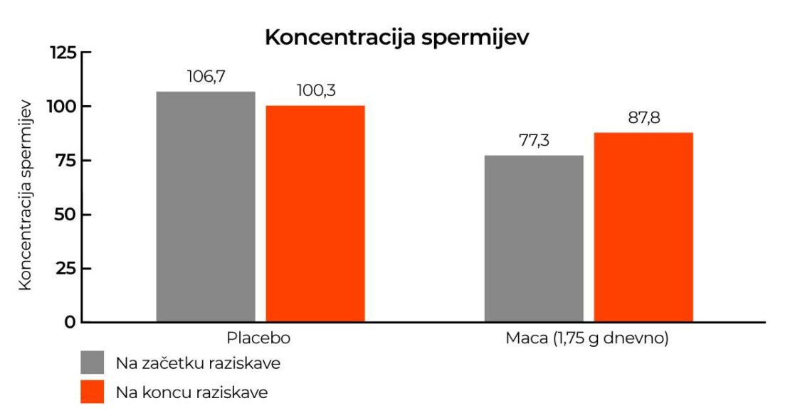 Vpliv mace na koncetracijo spermijev