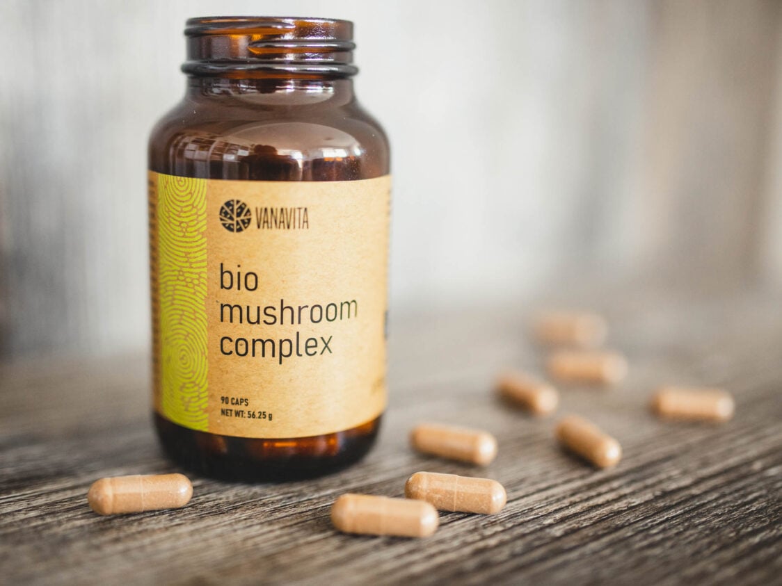 What beneficial substances do Reishi contain?