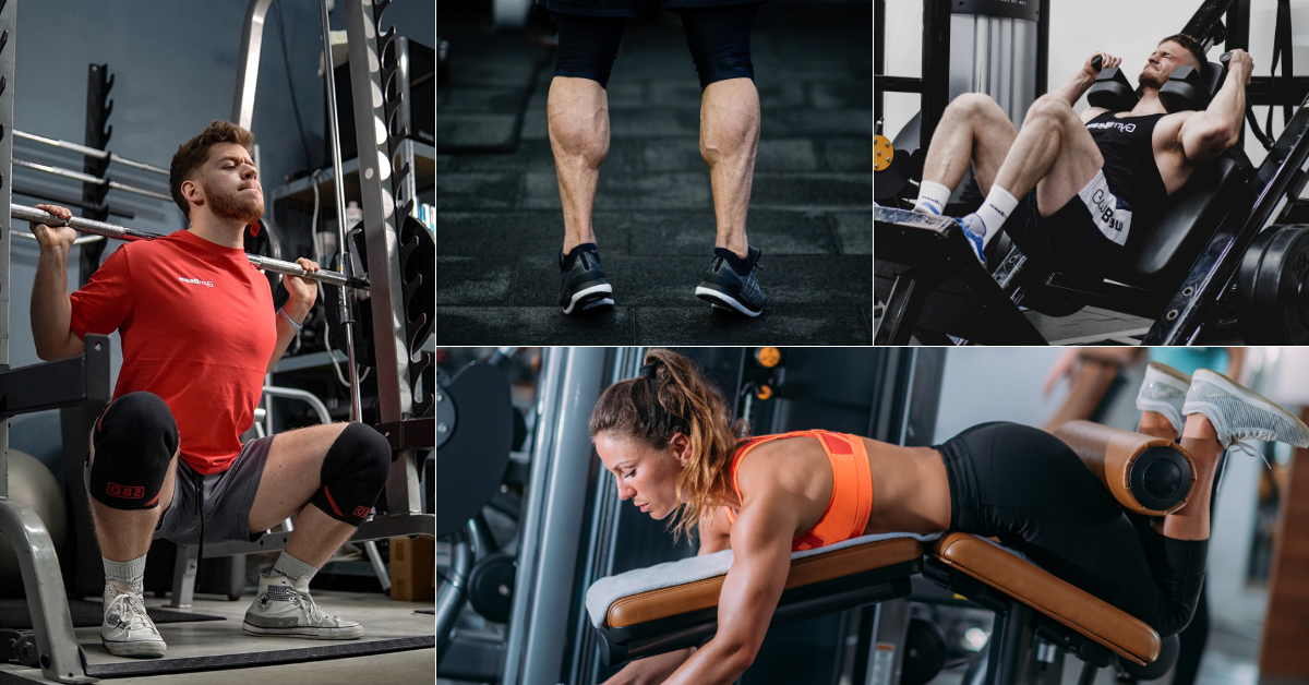 Photo of 9 Greatest Workout routines for Thighs & Calves