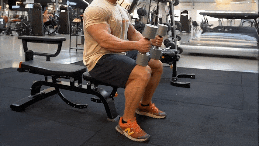 How to do the dumbbell calf raises?