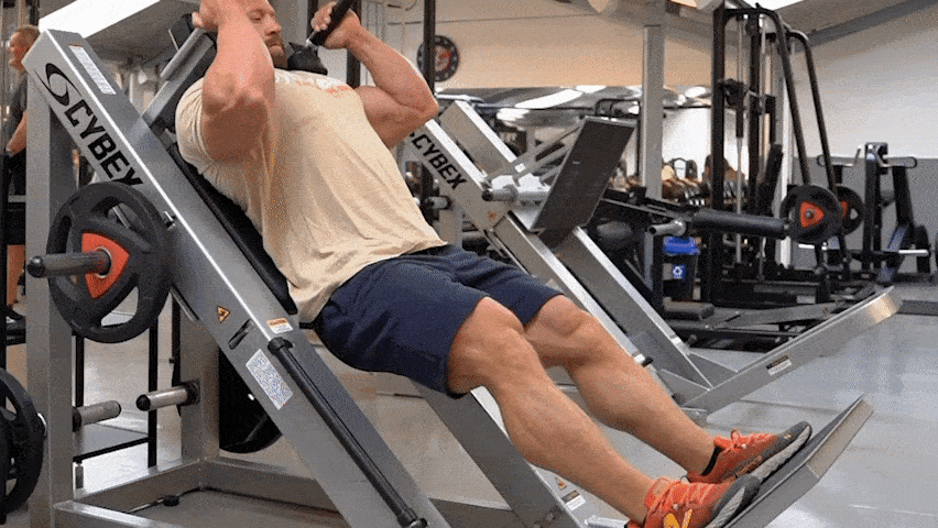 How to do the hack squat?