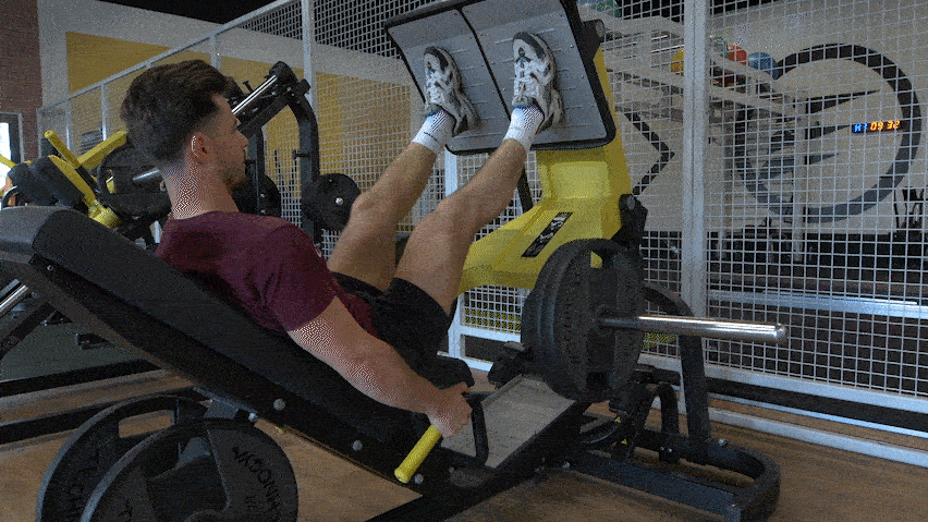 How to perform the leg press?