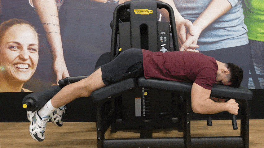How to perform the hamstring curls?

