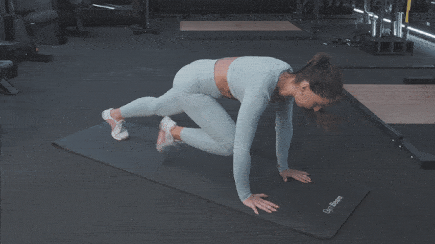 Planinar (Mountain Climber) vježba