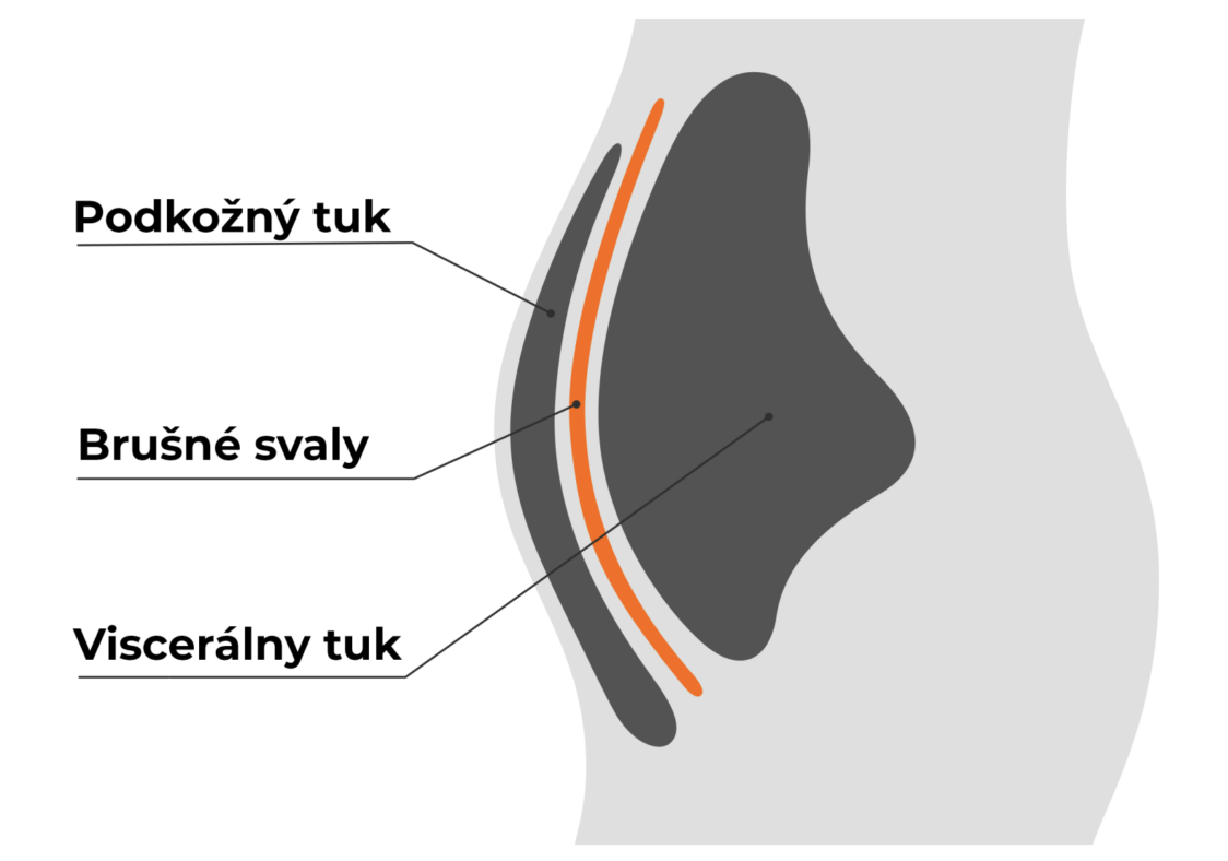 Čo je to tuk? Čo je to tuk?