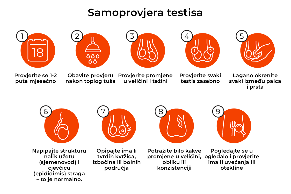 Postupak samopregleda testisa