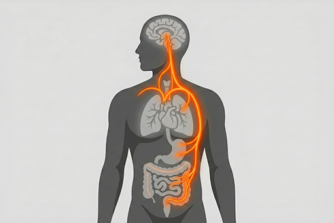Czym są psychobiotyki? Odkryj, jak bakterie jelitowe wpływają na stres, lęk i wydajność.