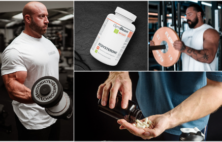 Екдистерон: Вплив на ріст м’язів, силу та рівень тестостерону