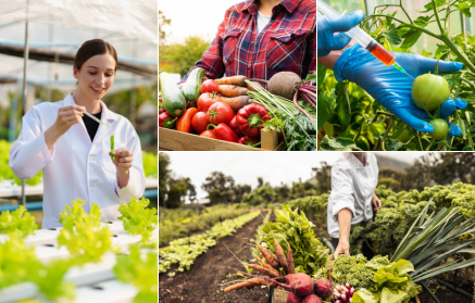 Генетично модифіковані продукти: Порятунок чи загроза?