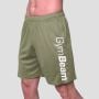 Mesh Shorts Essence Green - GymBeam XL