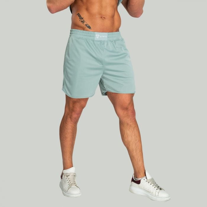 Nebula Shorts Stone Blue - STRIX M