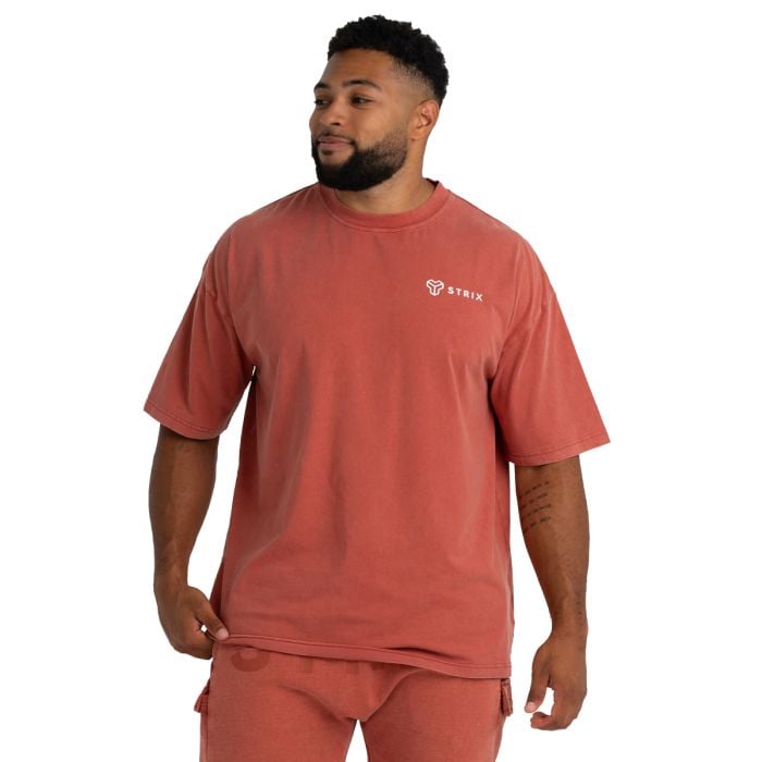 Oversized Washed T-Shirt Terra - STRIX L