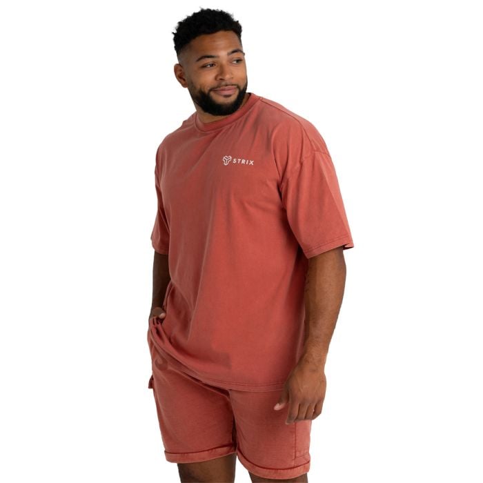 Oversized Washed T-Shirt Terra - STRIX L